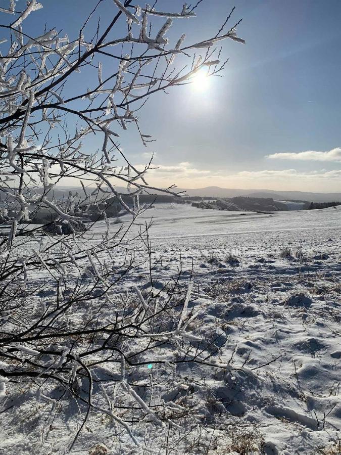 Ferienwohnung Stirnbergblick Ehrenberg  外观 照片