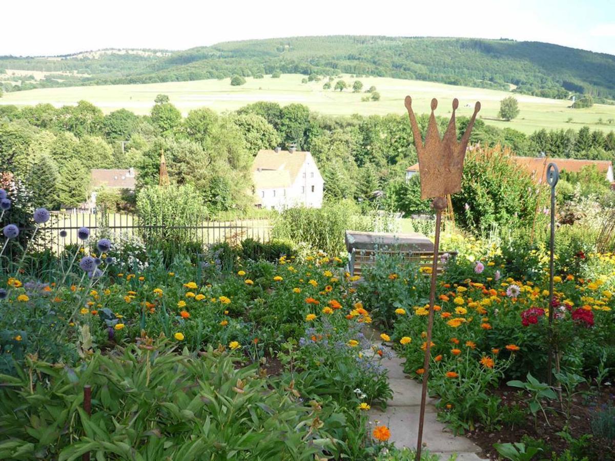 Ferienwohnung Stirnbergblick Ehrenberg  外观 照片